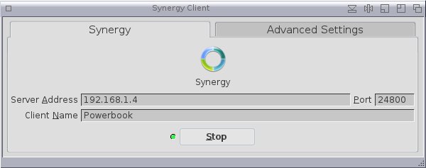 Synergy_client